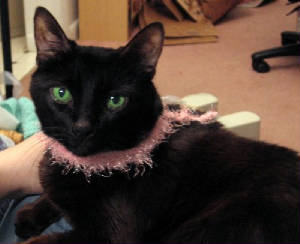 batcatscarf.jpg