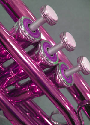 purpletrumpet.jpg